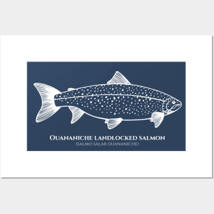 Landlocked Salmon with Common and Latin Names - on dark blue Posters and Art